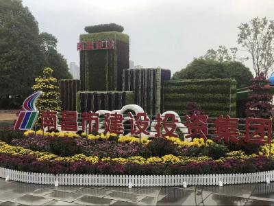以菊为媒 以花为介 展示服务城市与发展之宗旨——市j9游戏集团参展资阳市第三十四届菊花展